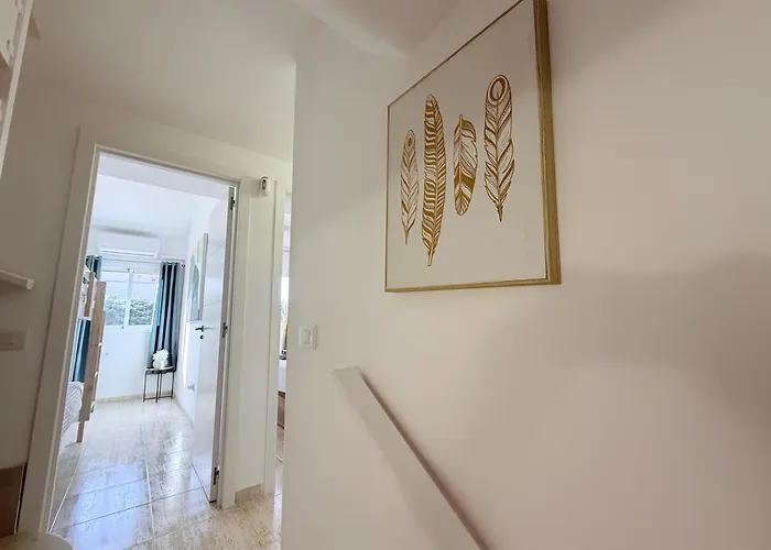 Hdfm Collection - Paradise