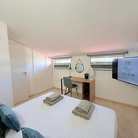 Hdfm Collection - Paradise