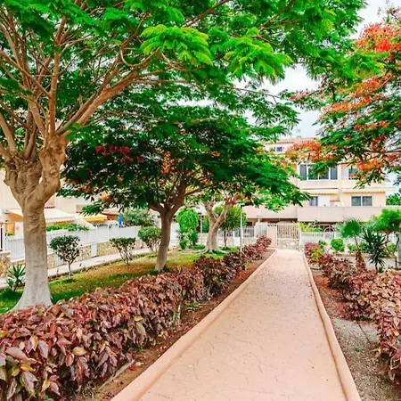 Hdfm Collection - Paradise Costa Adeje (Tenerife)