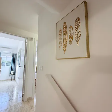 Hdfm Collection - Paradise