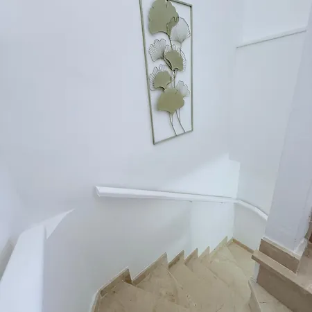 Hdfm Collection - Paradise * Адехе