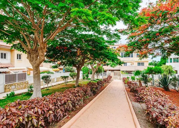 Hdfm Collection - Paradise أذيخي