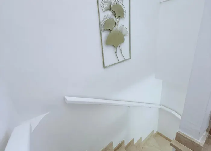 Hdfm Collection - Paradise * أذيخي